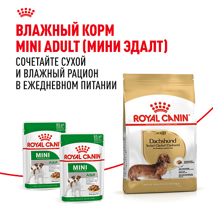 Royal Canin Dachshund Adult Корм сухой для взрослых собак породы Такса от 10 месяцев, 7,5 кг